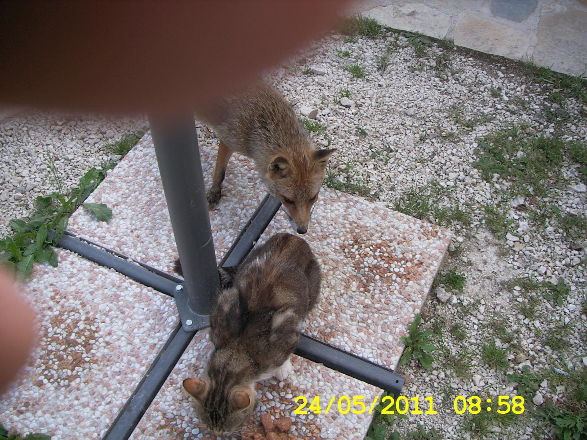 Country House Antiche Dimore - Photo 134