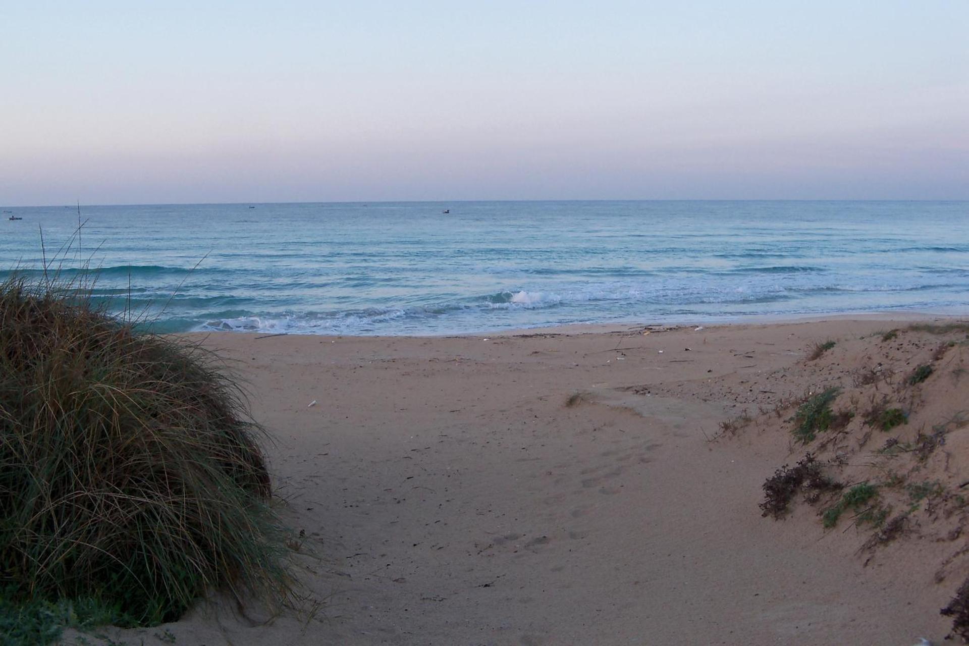 Agriturismo Il Pavone - Photo 70