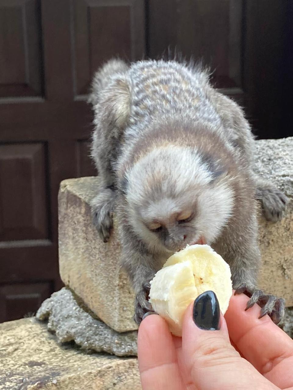 Pousada Dunasol Floripa - Photo 111