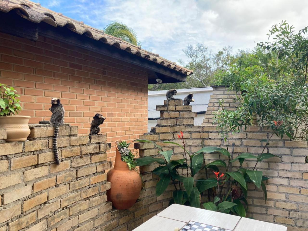 Pousada Dunasol Floripa - Photo 112