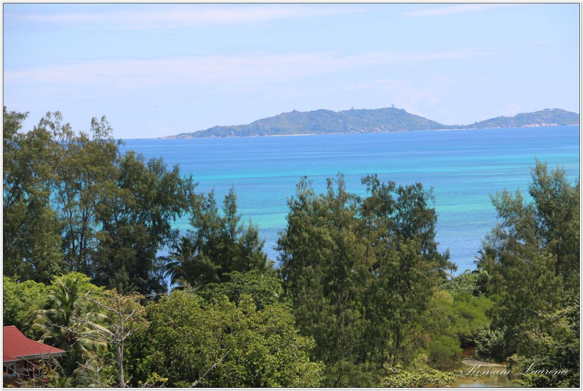Exotic Guest House - Photo 49