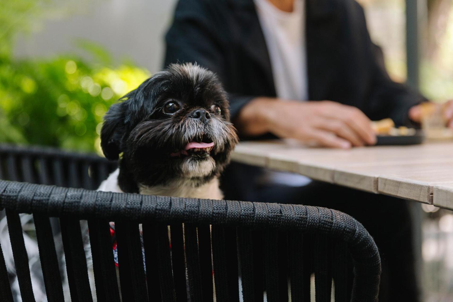 Brick Hotel Mexico City - Small Luxury Hotels of the World - Photo 76