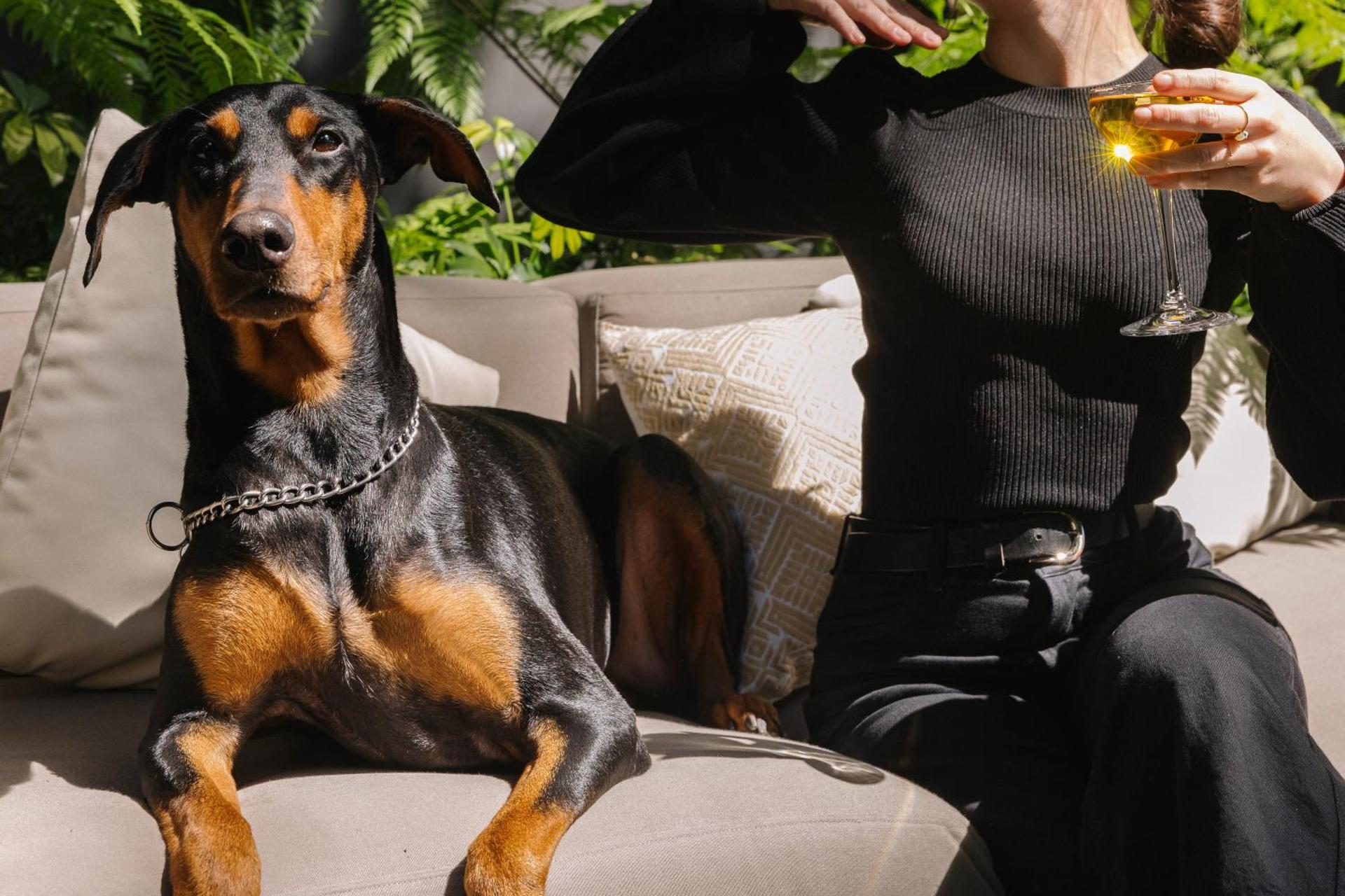 Brick Hotel Mexico City - Small Luxury Hotels of the World - Photo 77