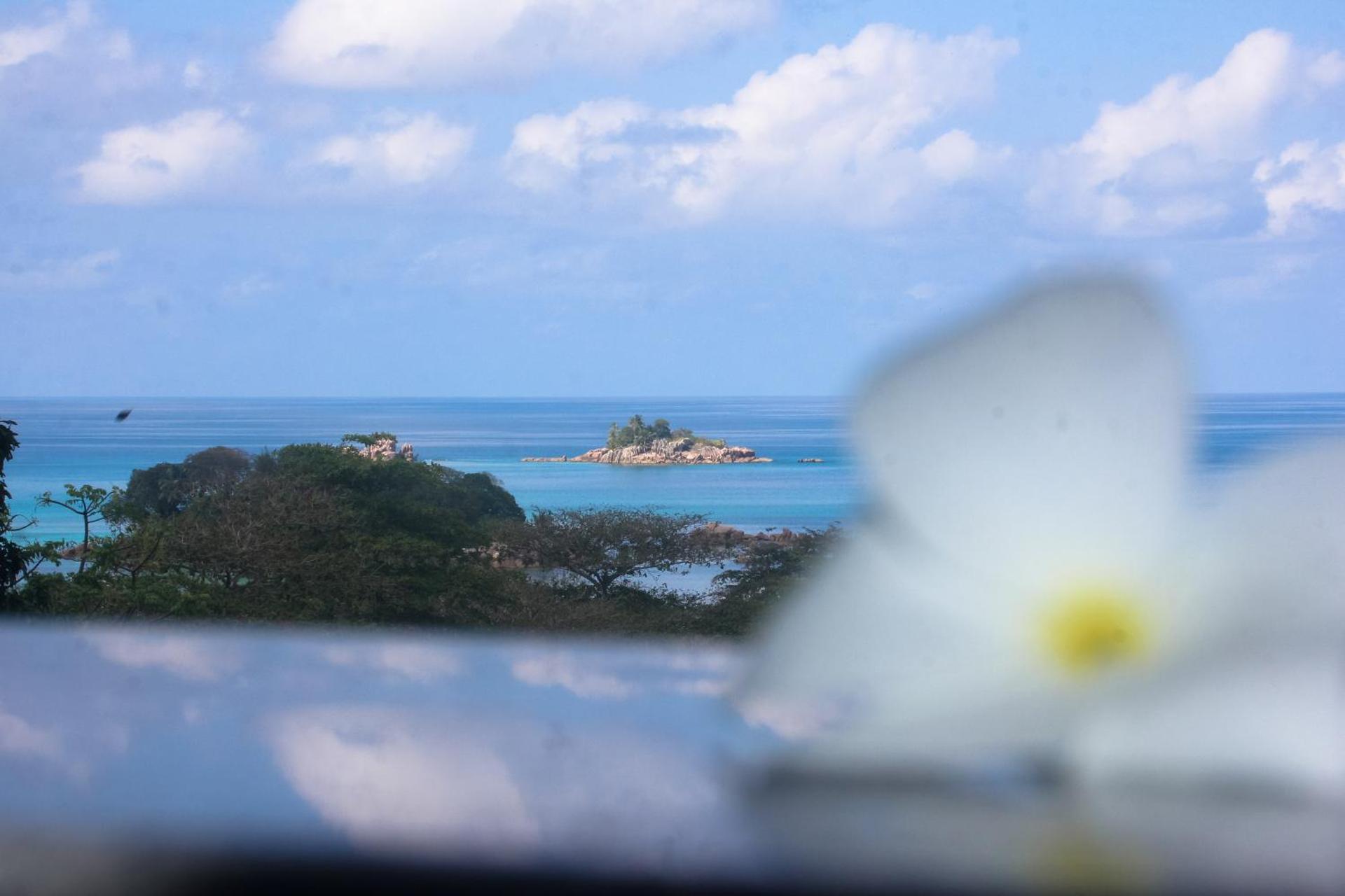 Exotic Guest House - Photo 7