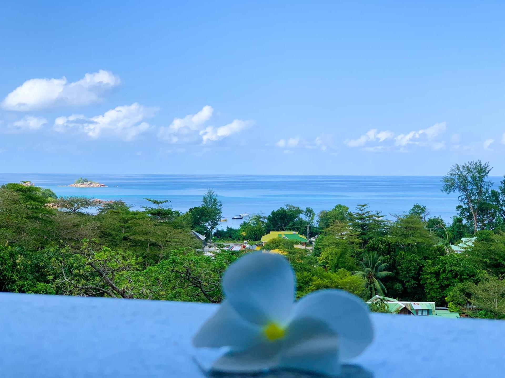 Exotic Guest House - Photo 17