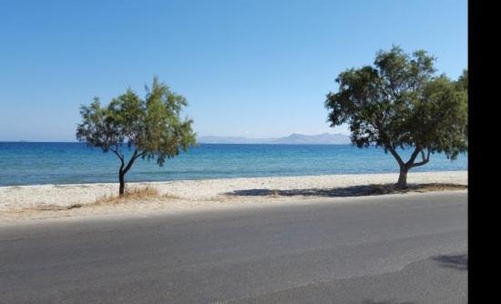 Jonathan Studio Apartments - Photo 26