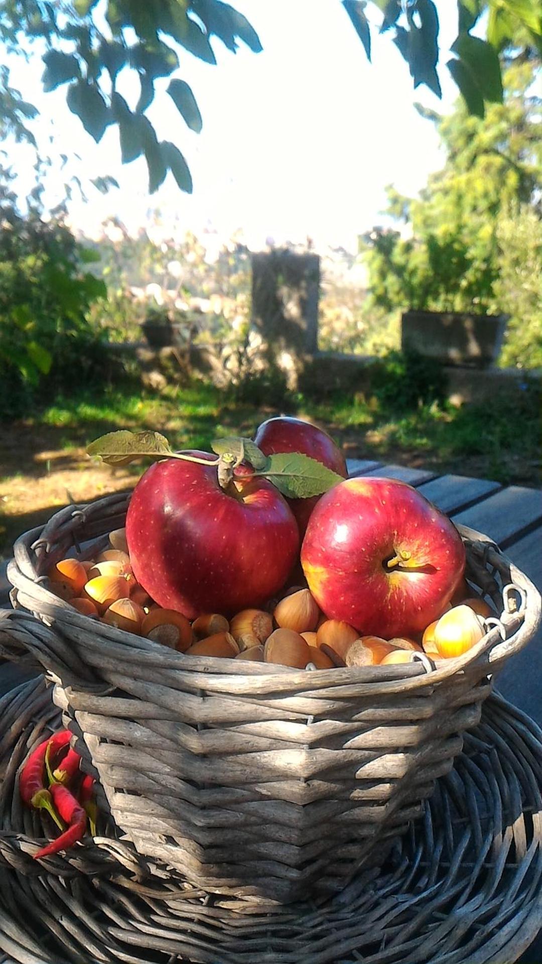 B&B Meladormo - Photo 11