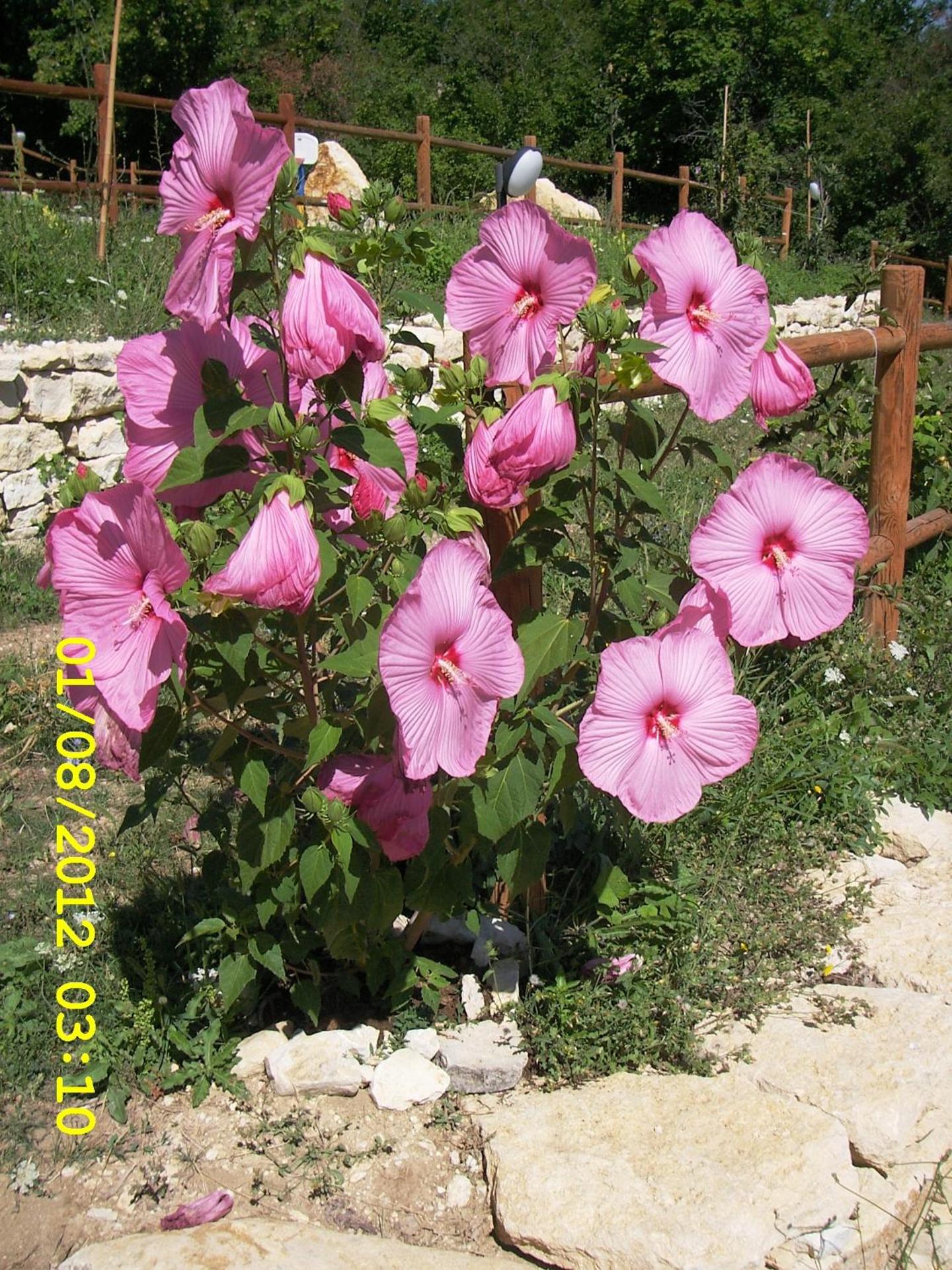 Country House Antiche Dimore - Photo 148