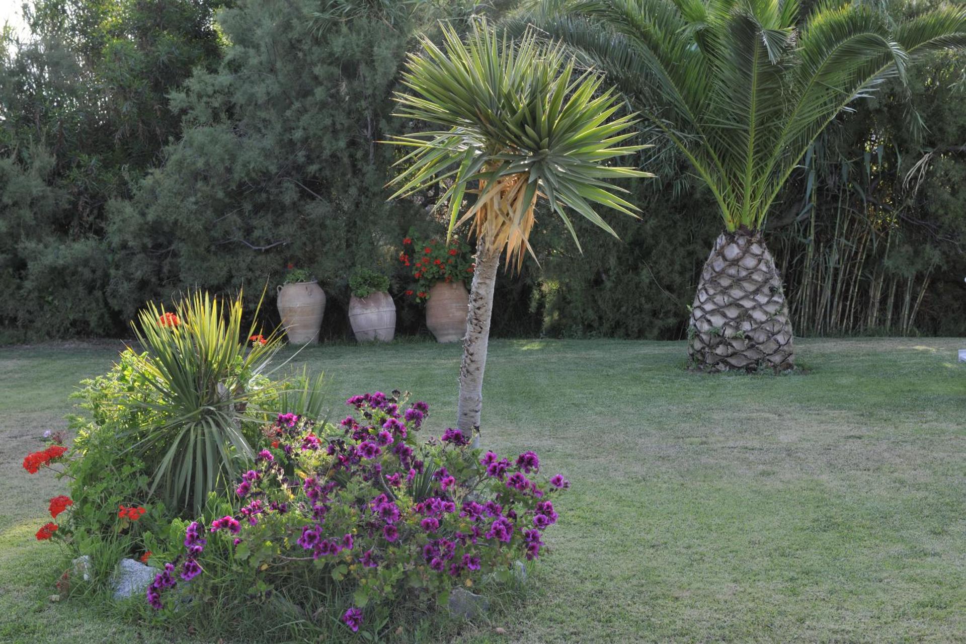 Ammos Naxos Exclusive Apartments & Studios - Photo 100