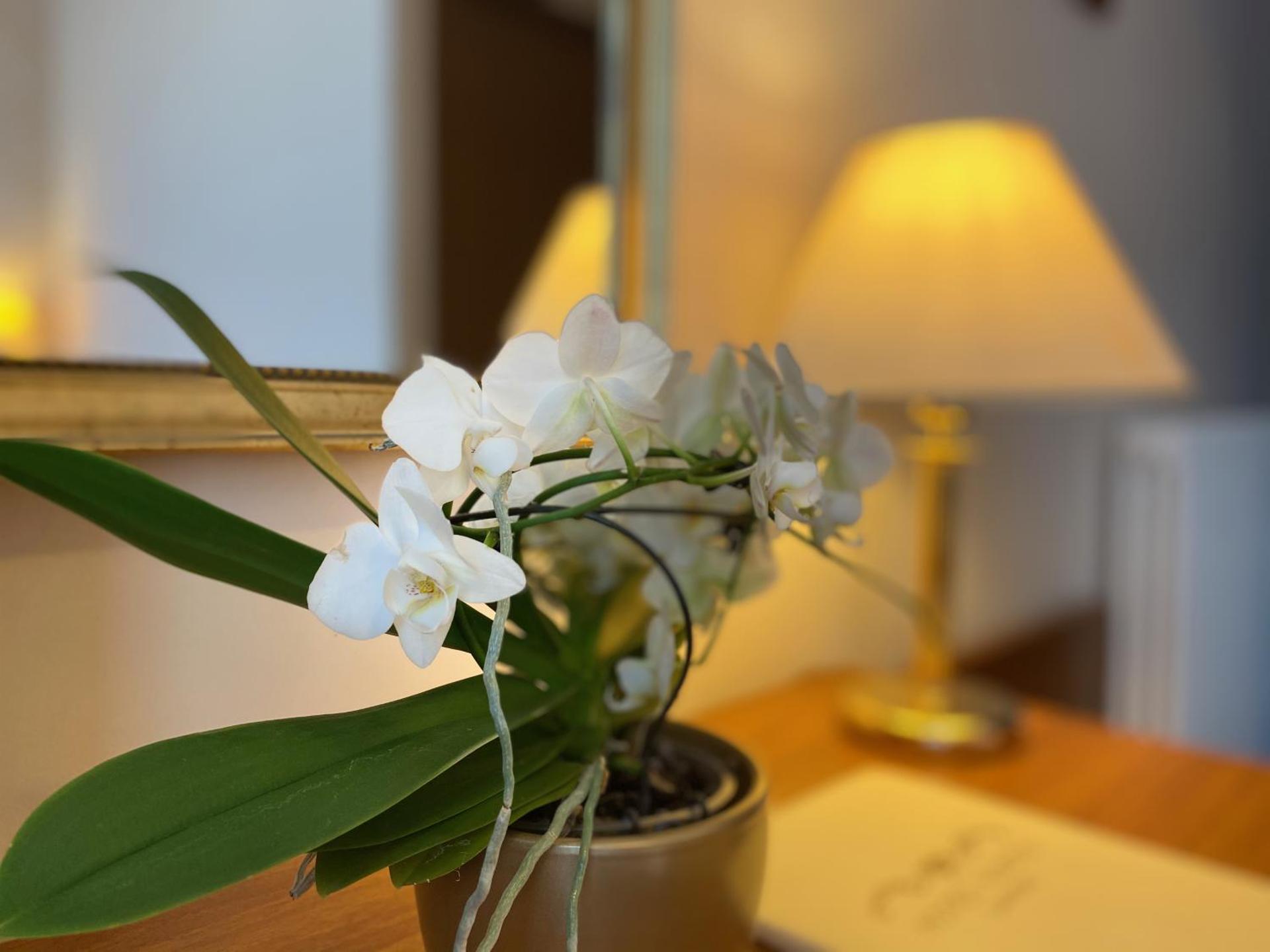 Hotel Eletto - Photo 4