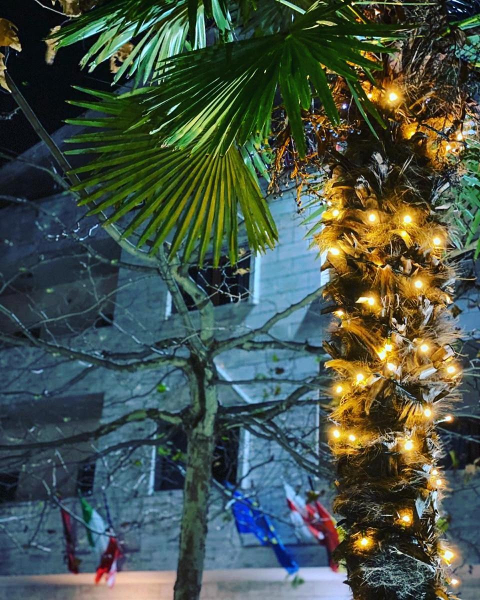 Hotel Ambasador Garden - Photo 122