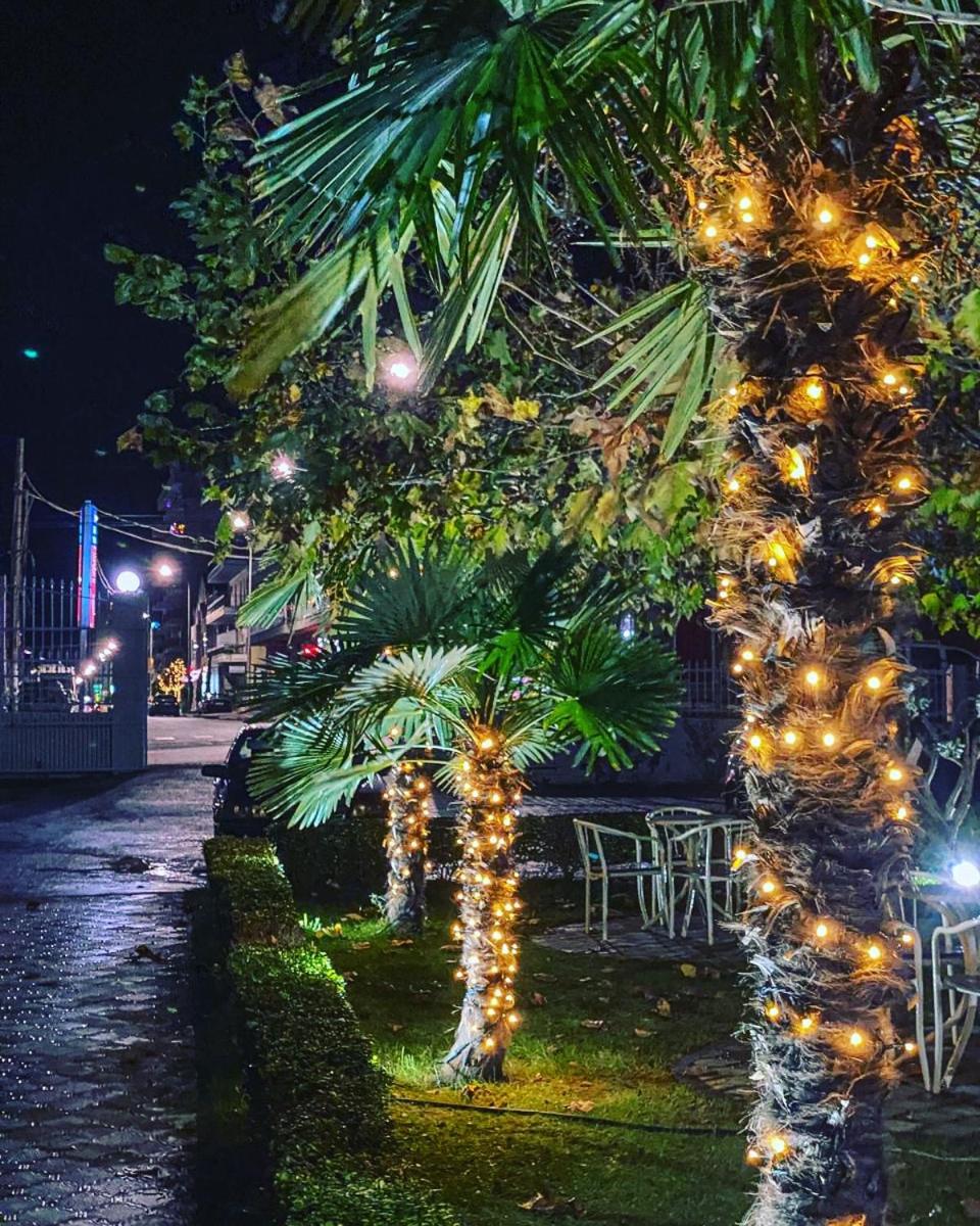 Hotel Ambasador Garden - Photo 144
