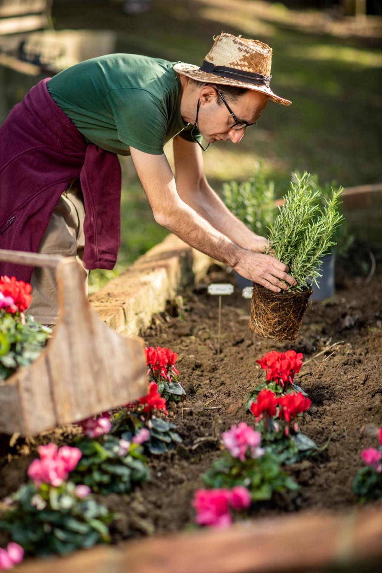 Boutique Wine Resort - Villa Dianella - Photo 69