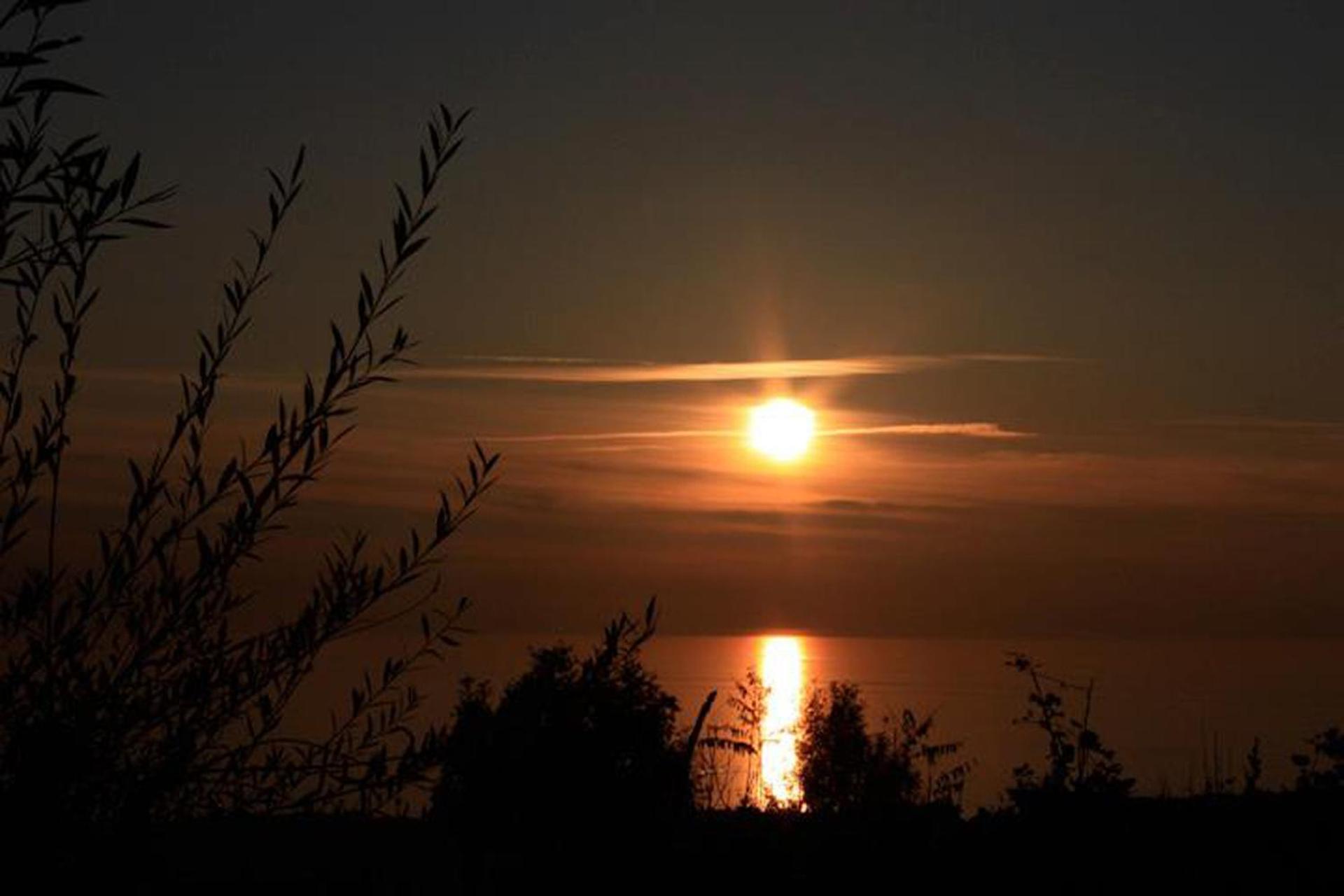 Tenuta Le Fornacelle - Photo 82