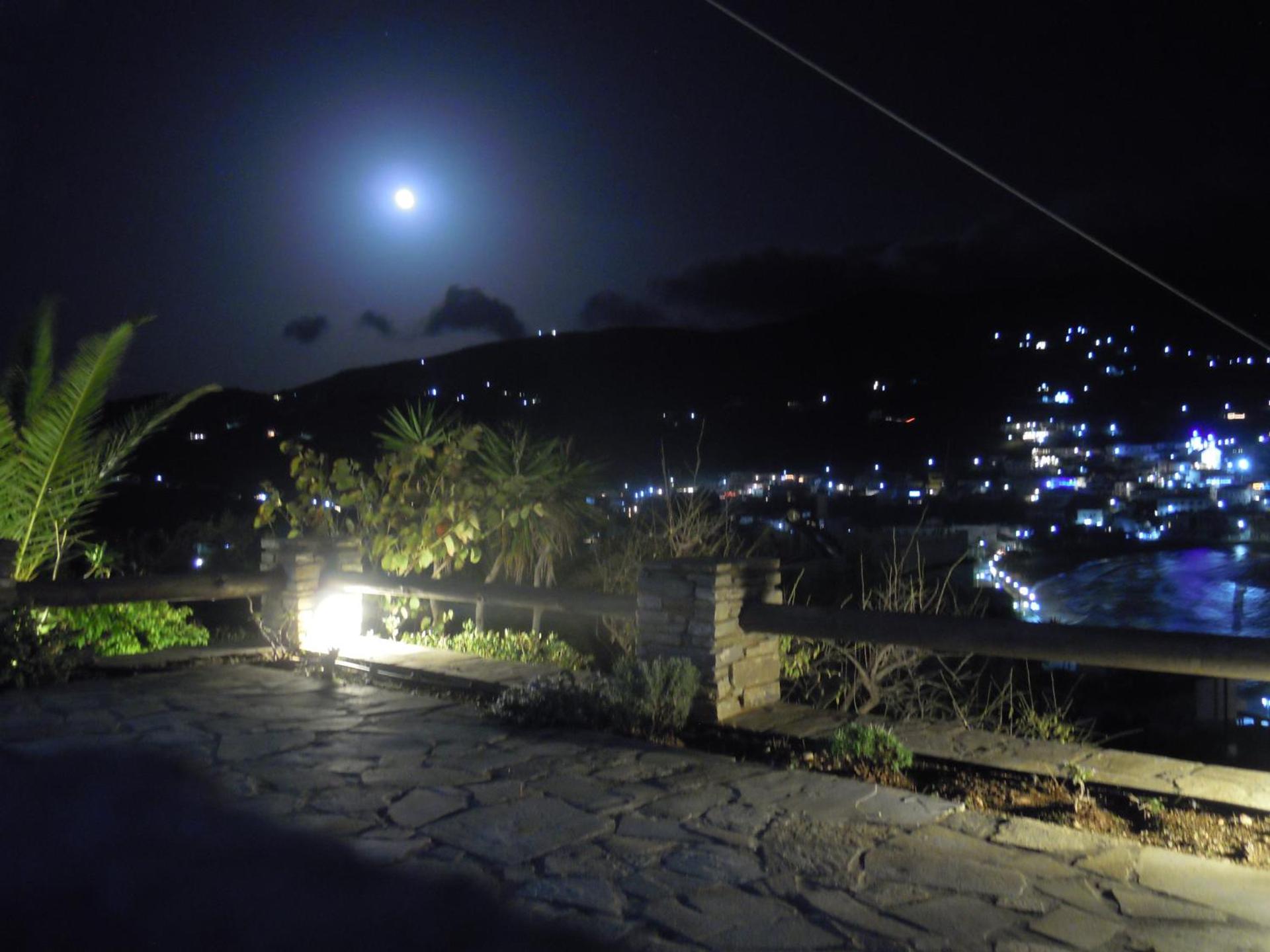 Blue Dolphin - Photo 252