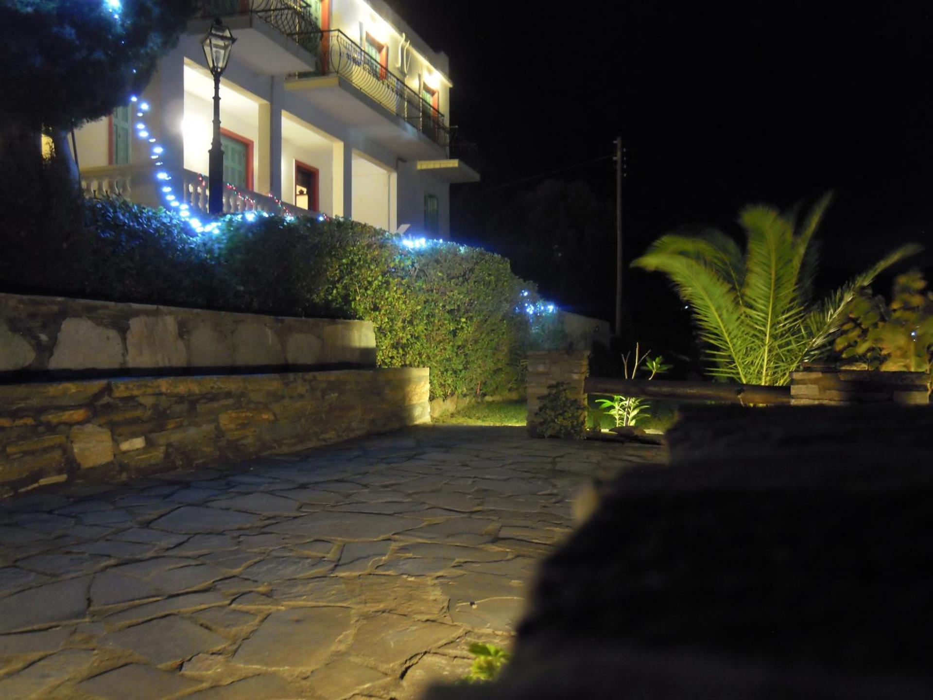 Blue Dolphin - Photo 253