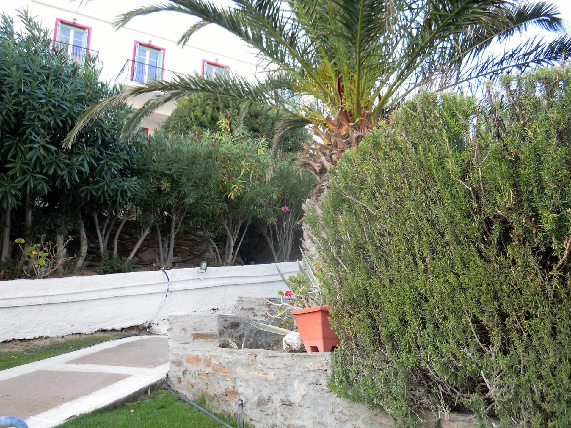 Blue Dolphin - Photo 256