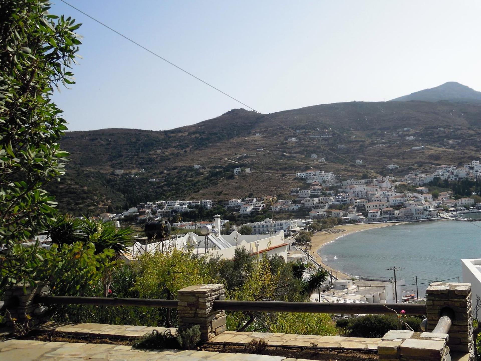 Blue Dolphin - Photo 258