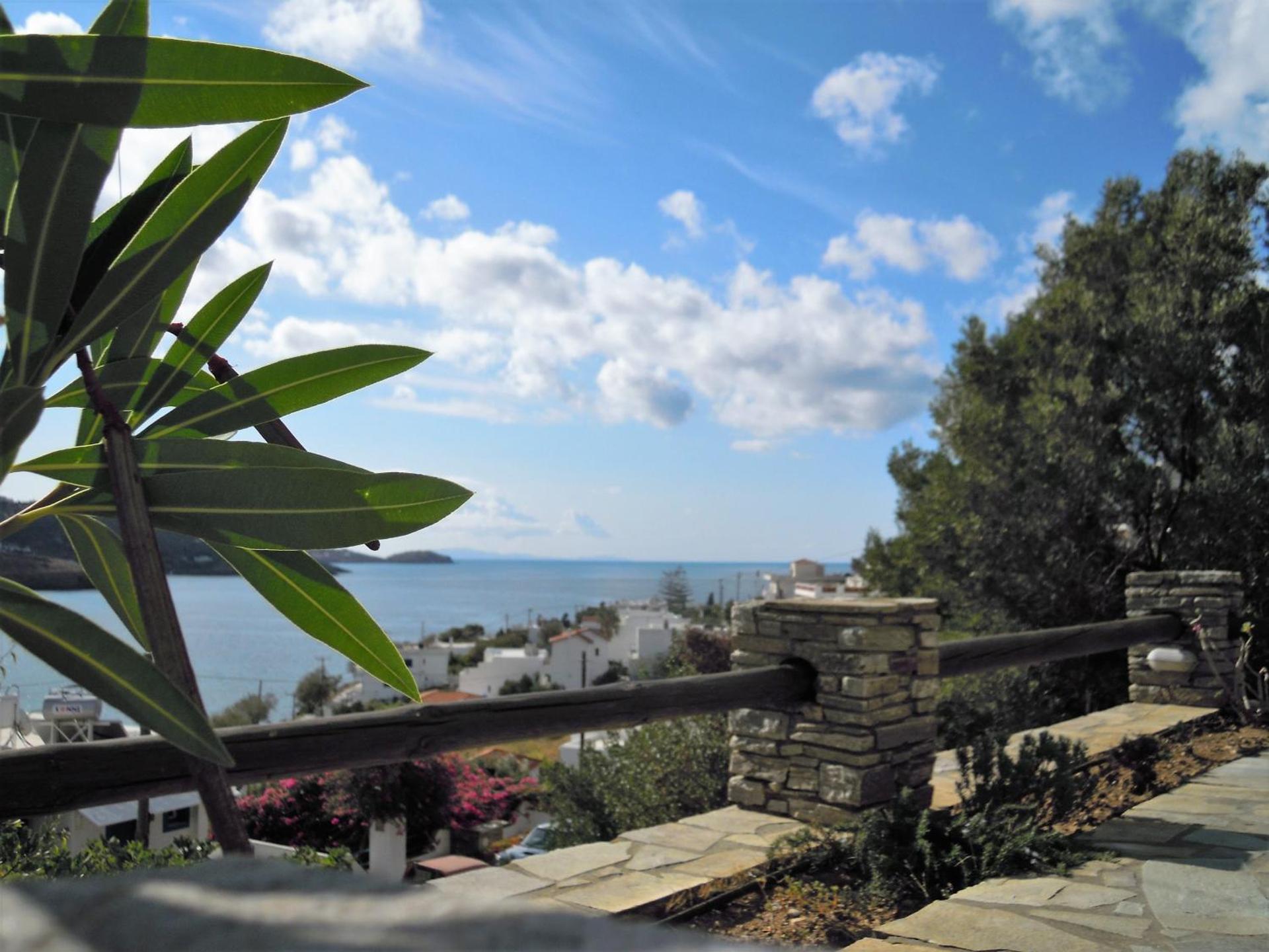 Blue Dolphin - Photo 259