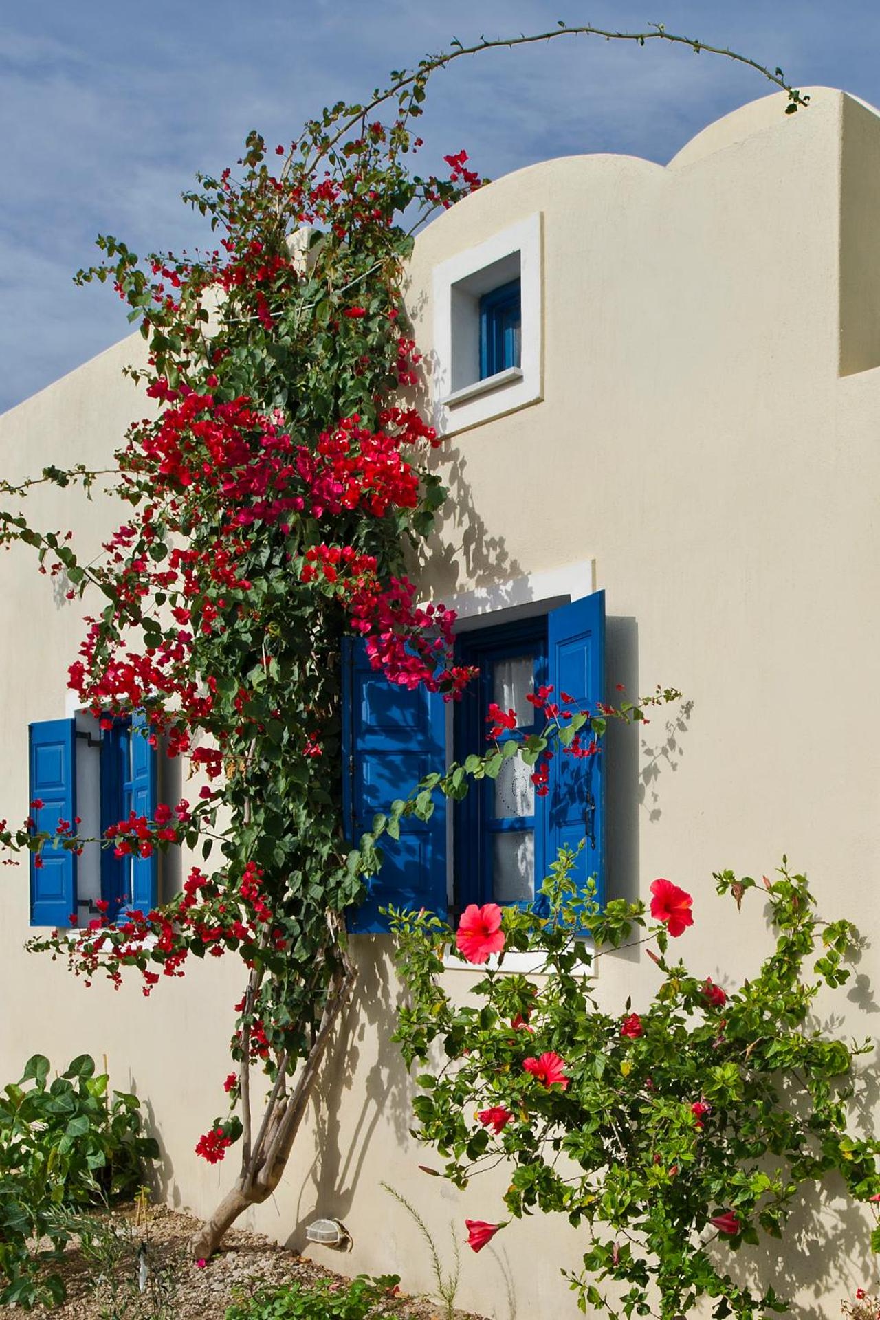 Irigeneia Hotel - Photo 61