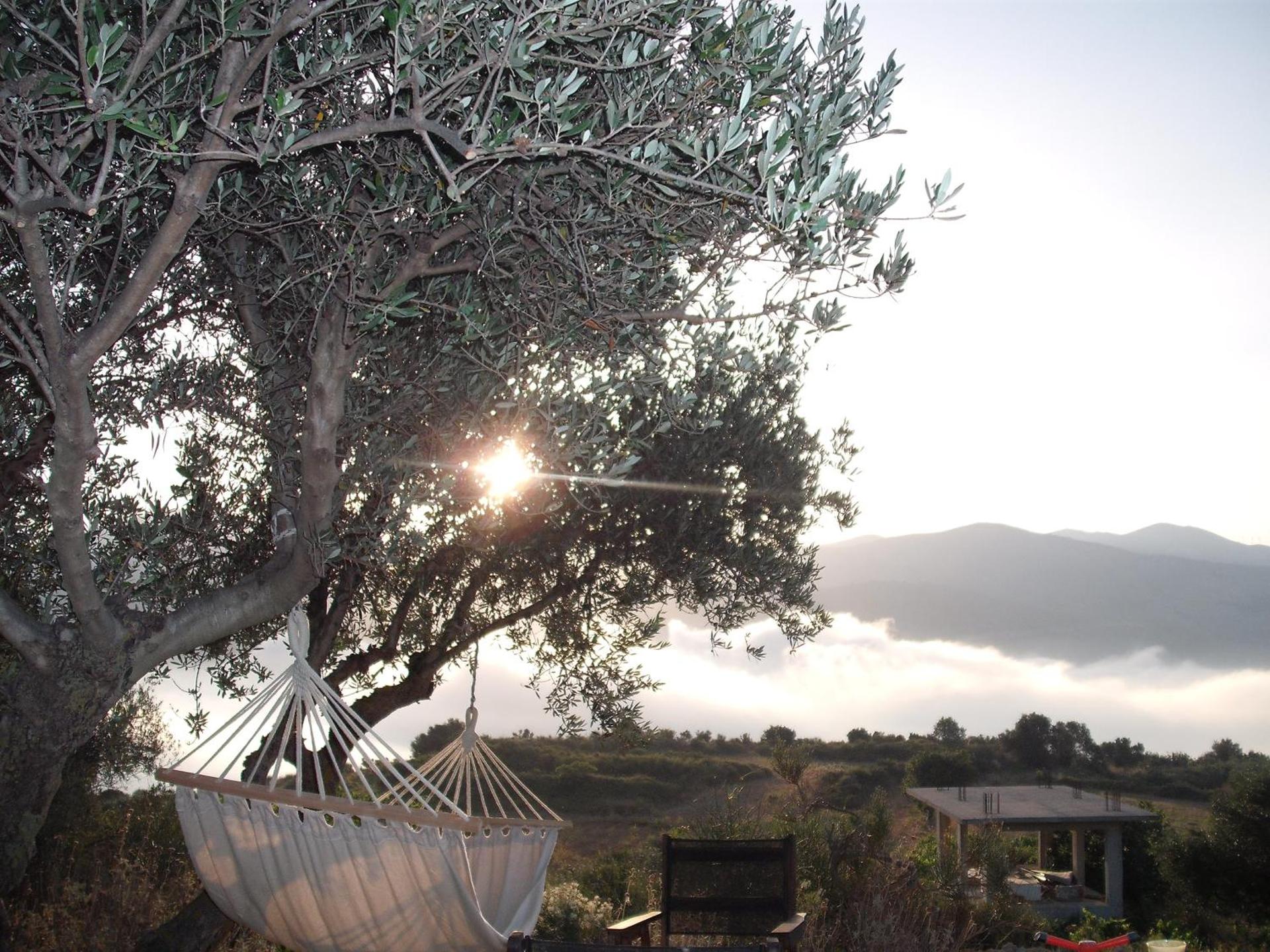 Forestata Village - Photo 80