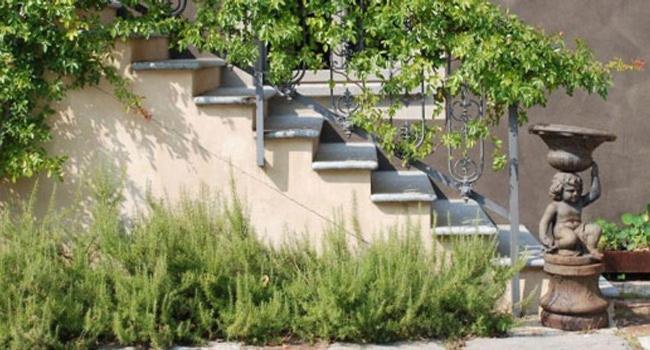 Albergo l'Ostelliere - Villa Sparina Resort - Photo 3