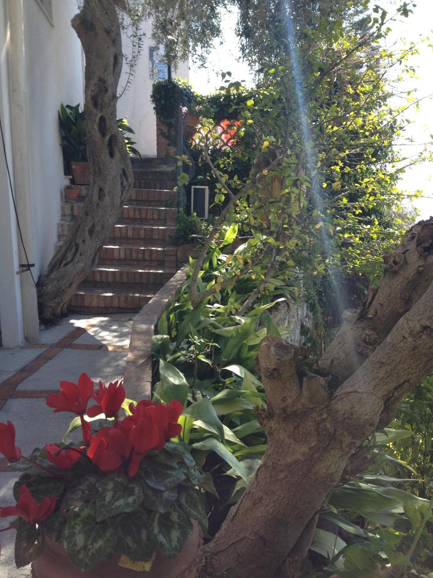 Villa Greta Hotel Rooms & Suites - Photo 116