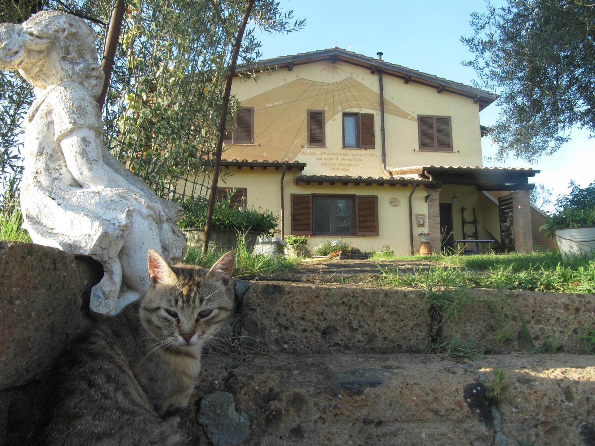 Agriturismo La Svolta - Photo 10