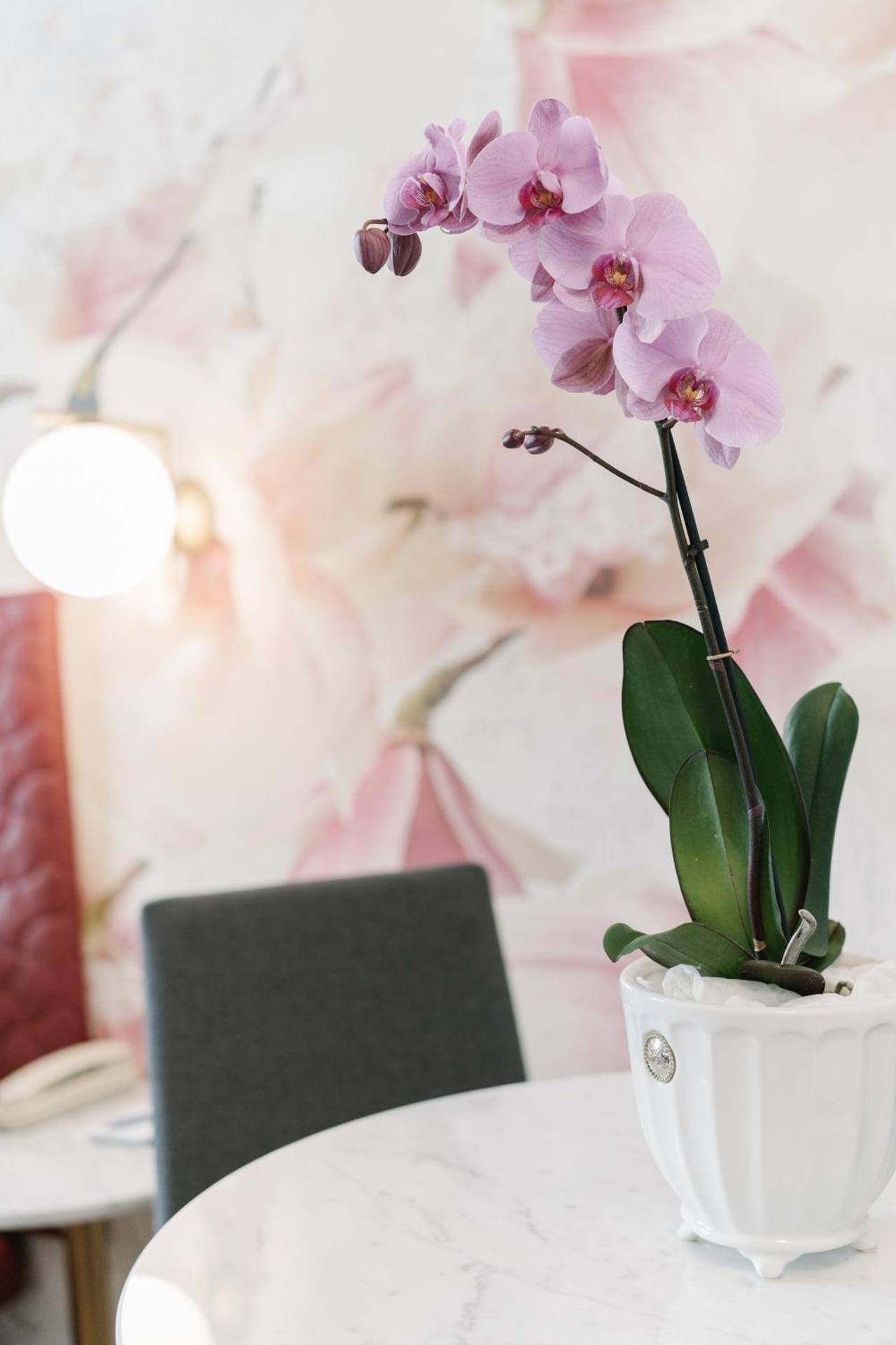 Hotel Giulietta e Romeo ***S - Photo 33