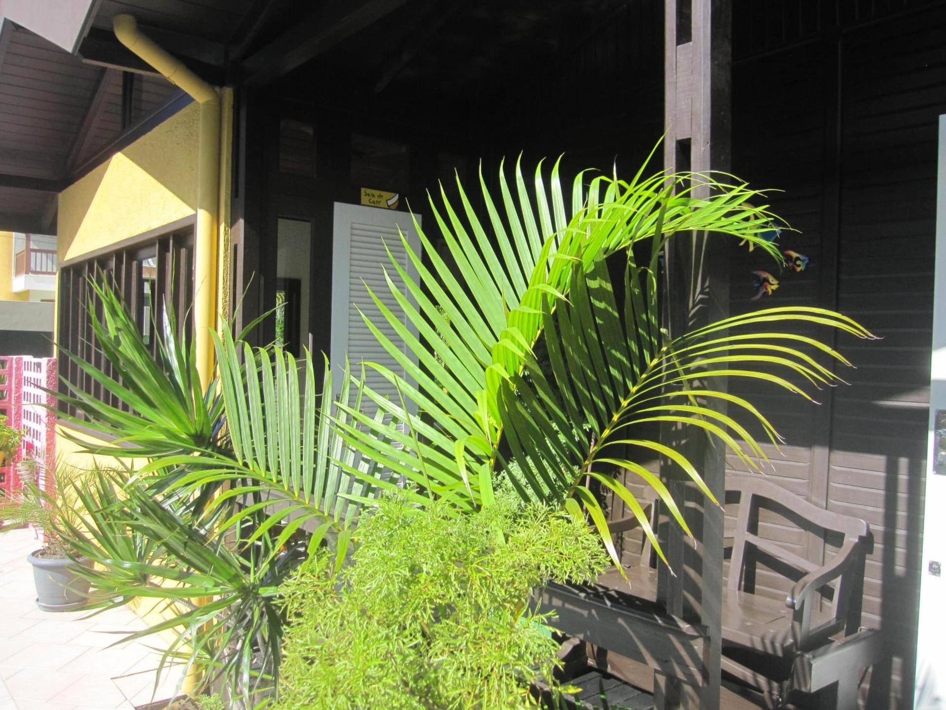 Pousada Vento Sul - Photo 112