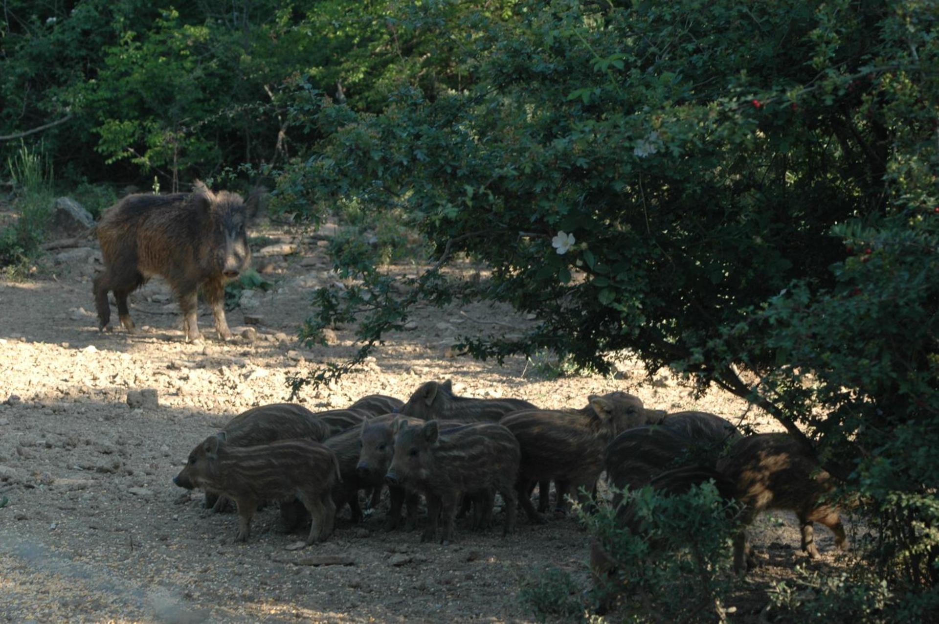 Agriturismo Bio Le Macchie Alte - Photo 7