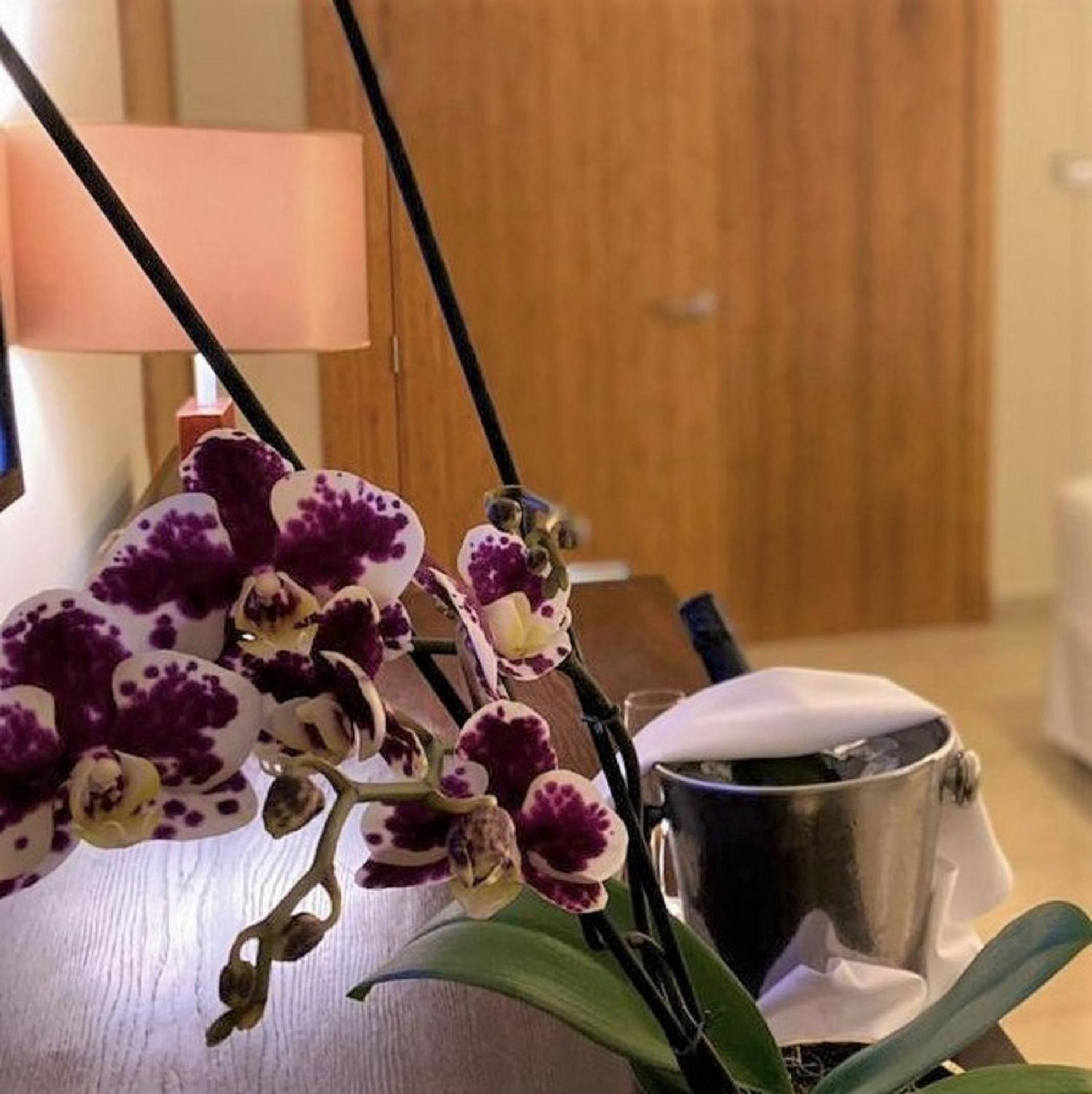 Breathless Punta Cana Resort & Spa - Adults Only - All Inclusive - Photo 25