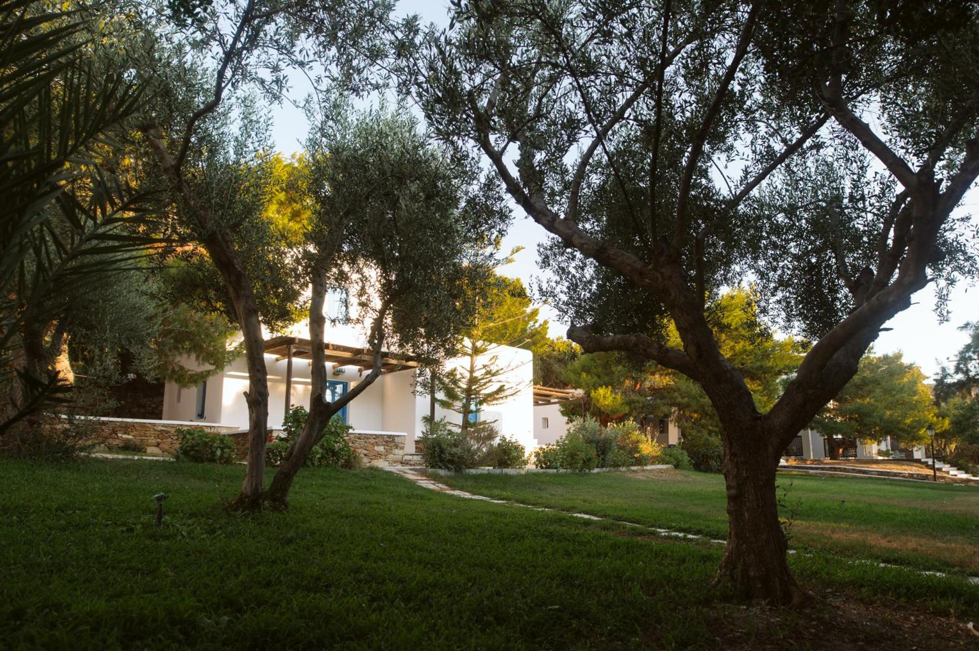 Far Out Village Hotel - Photo 22