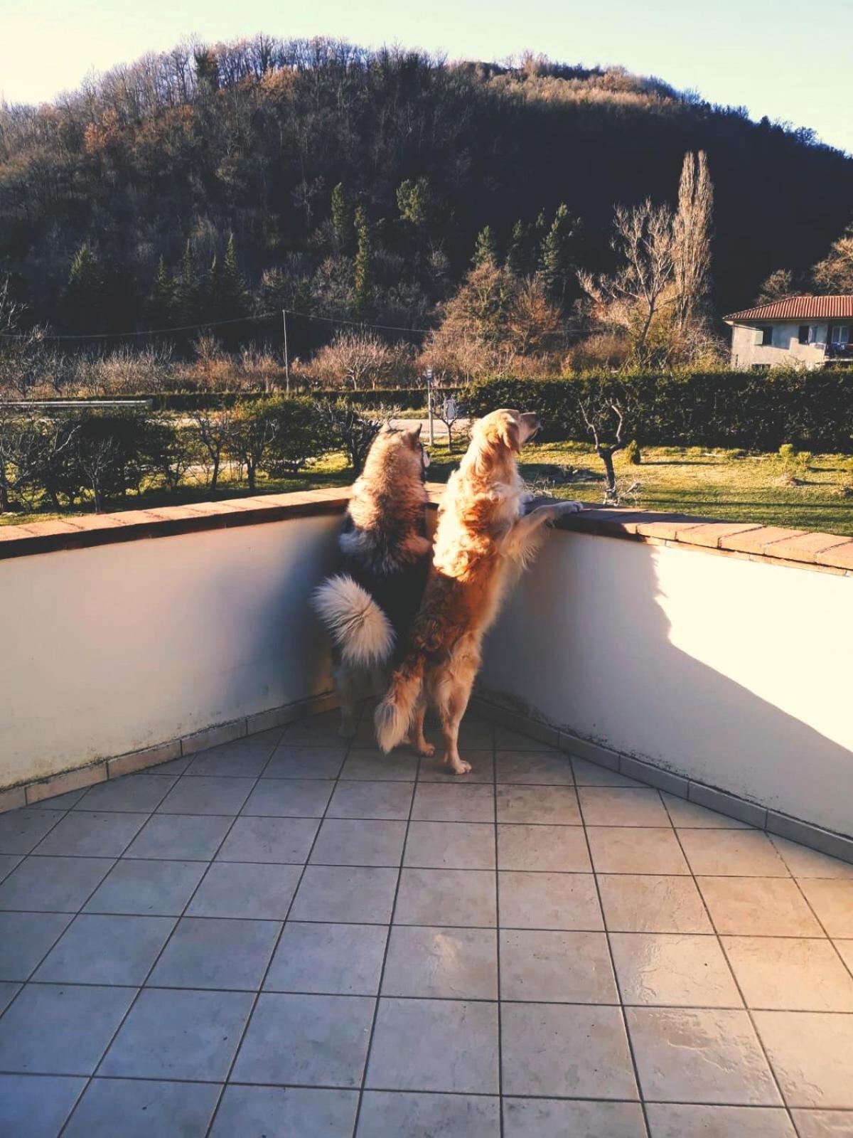 Domus Laetitiae Santa Croce - Photo 3