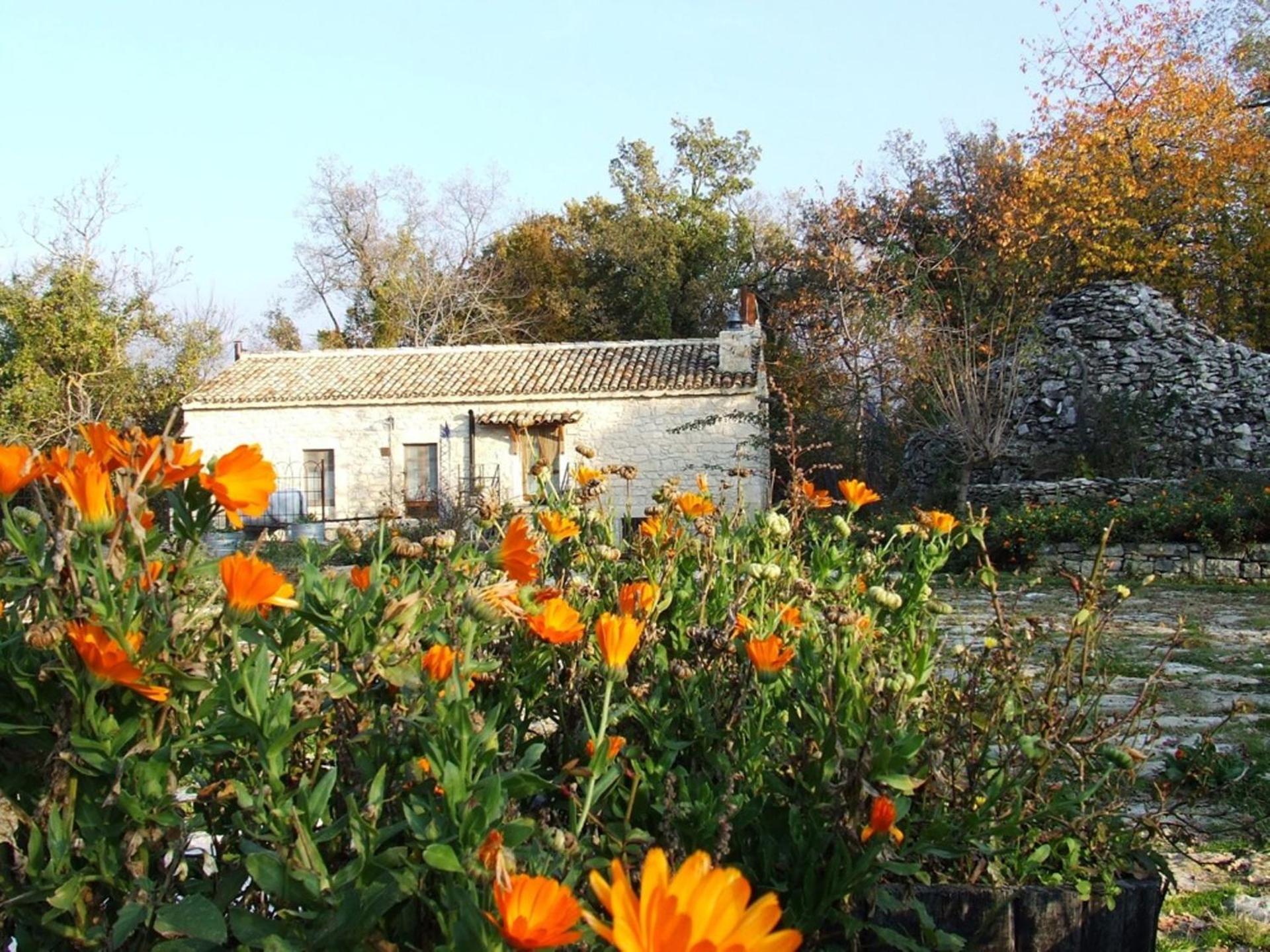 AGRITURISMO Case Catalano - Photo 199