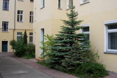 Hotel Pension Streuhof Berlin - Photo 10