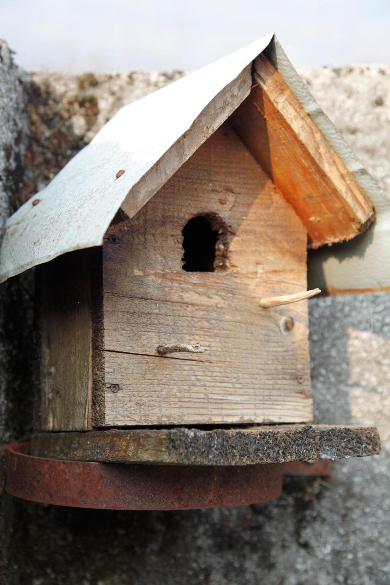 Sentiero Valinis - Photo 5