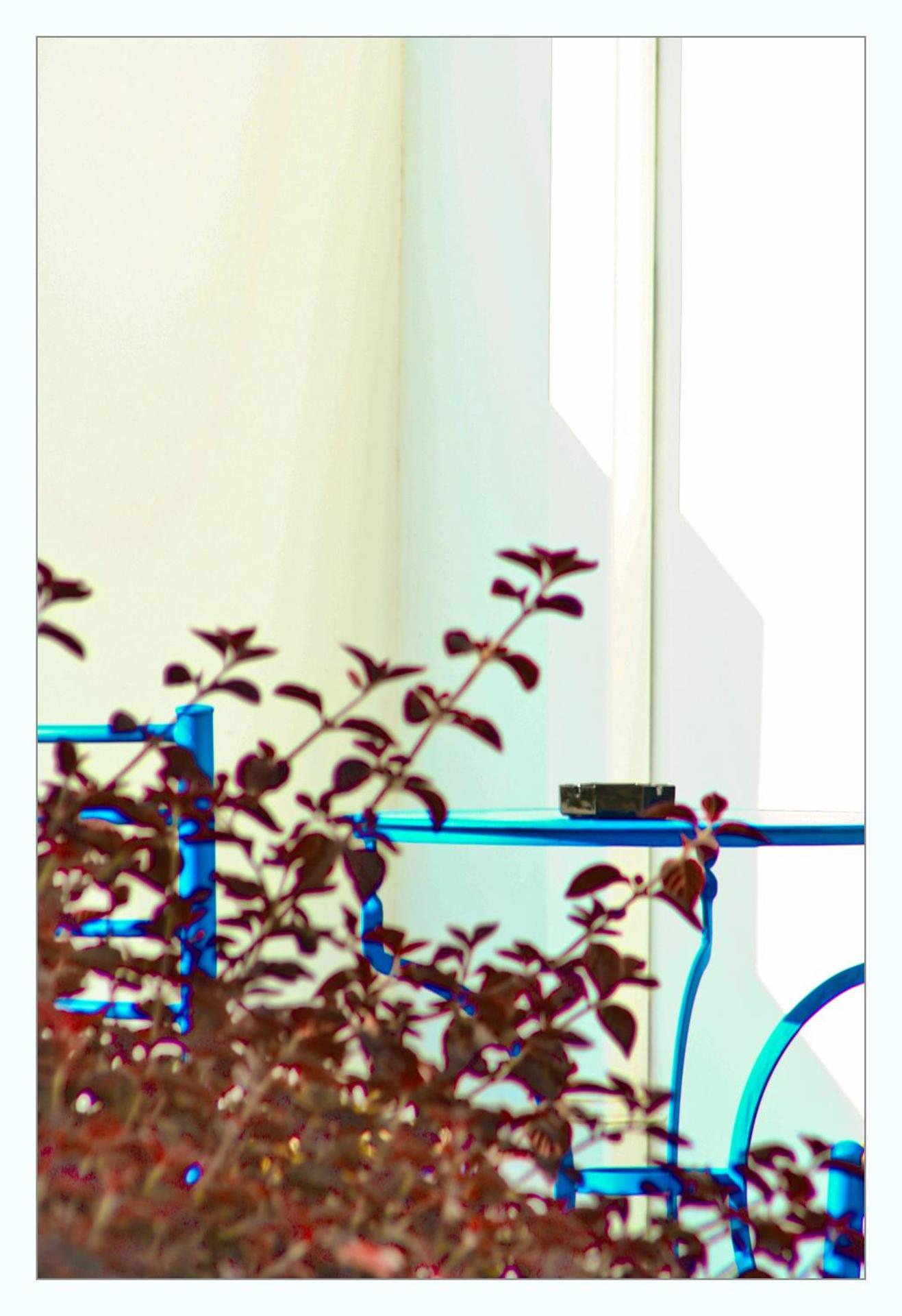 Bella Vista Stegna - Photo 113