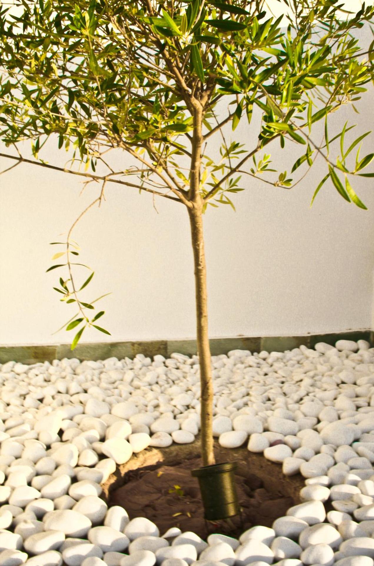 Bella Vista Stegna - Photo 116