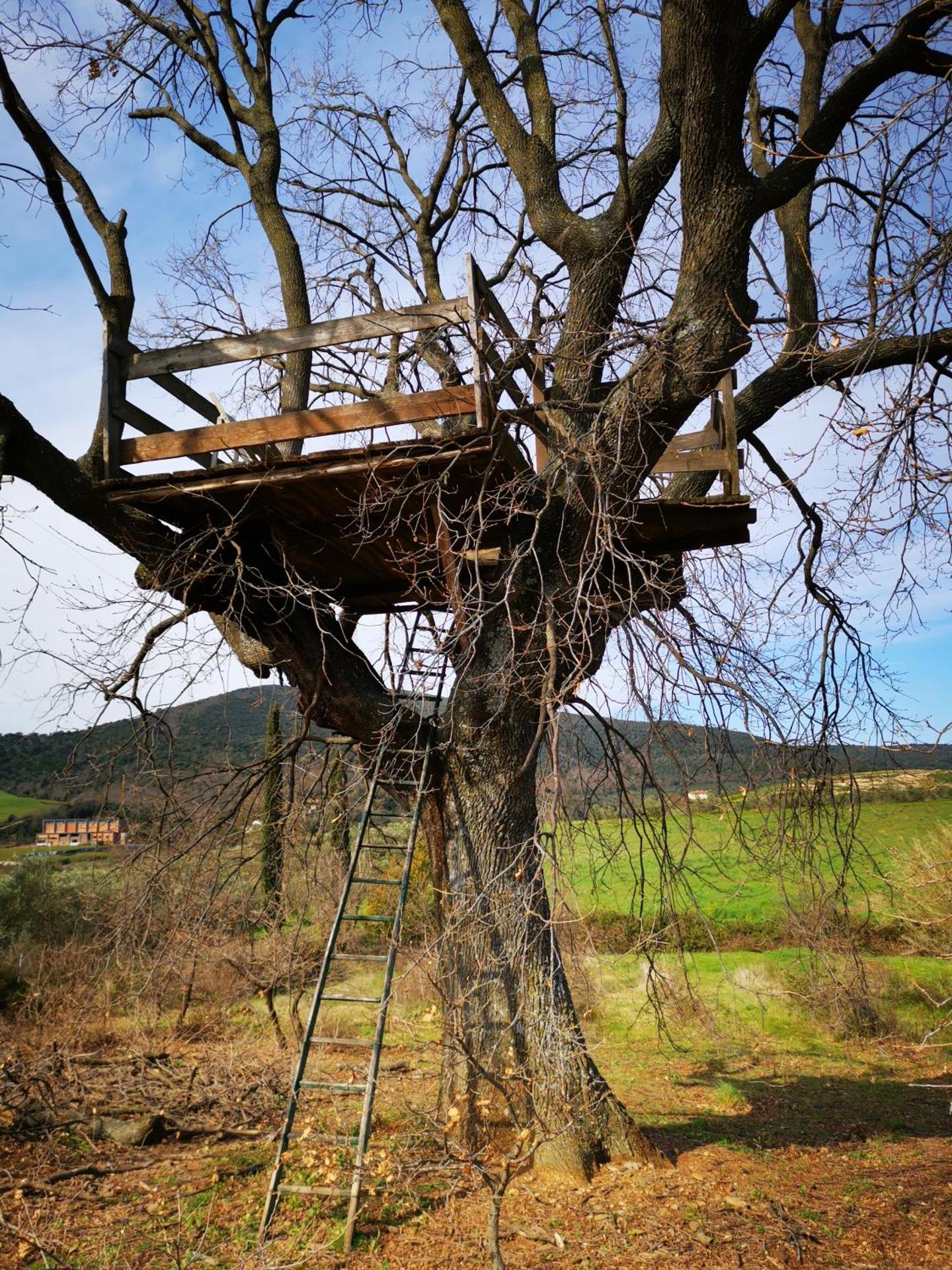 Agriturismo La Svolta - Photo 13