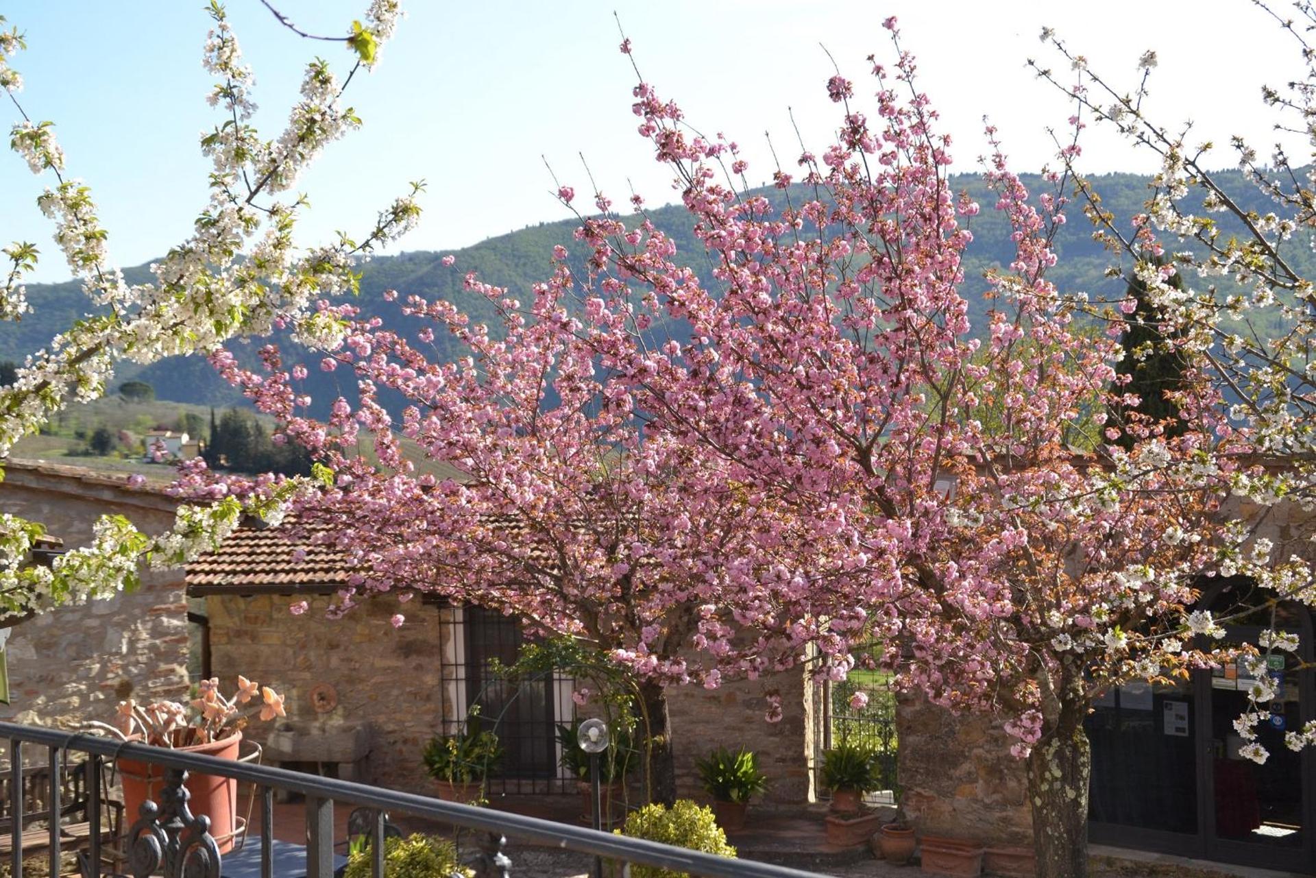 Podere Vignola - Photo 213