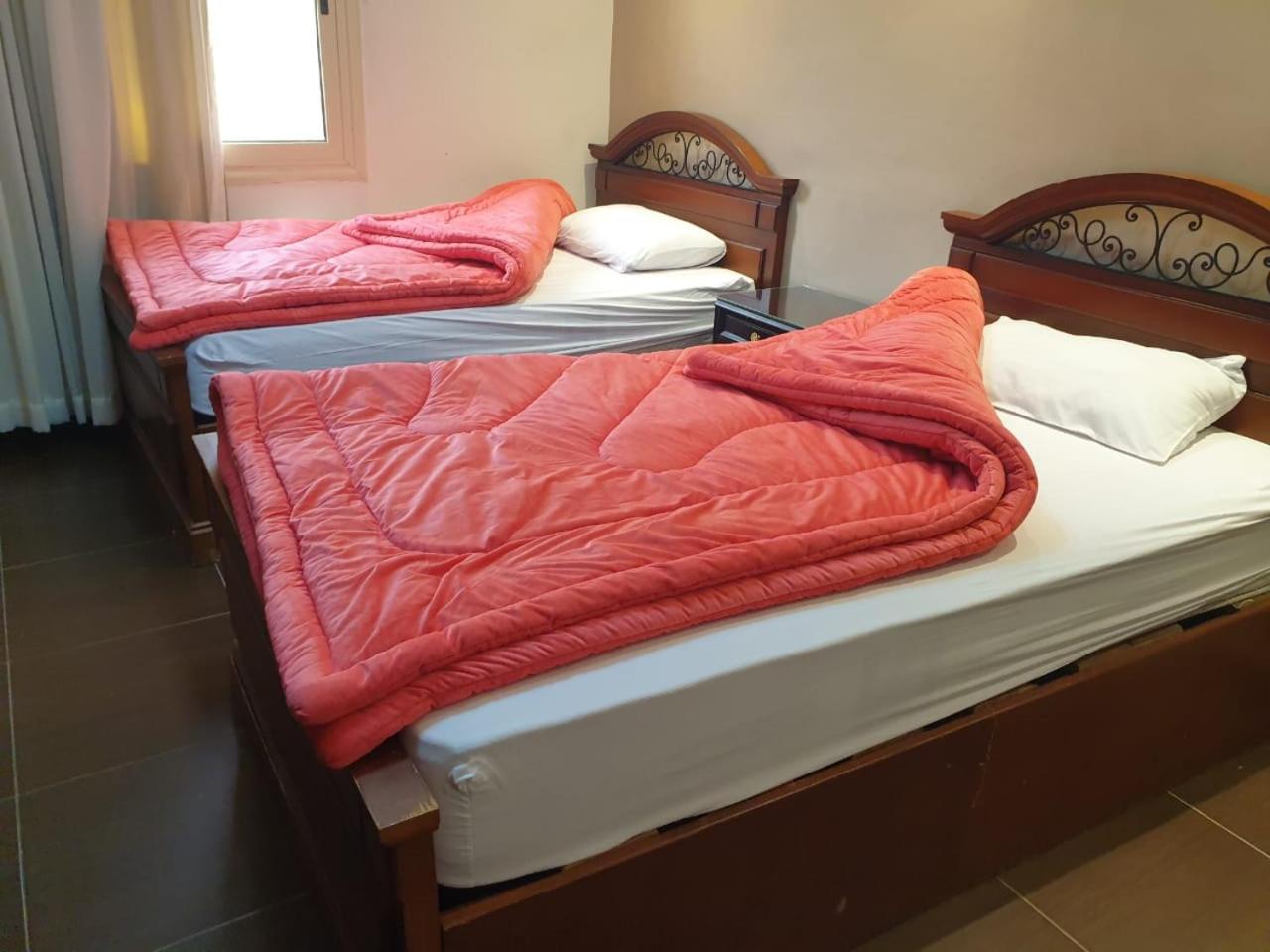 Luxury Host NC -38- Dream Land - Photo 9