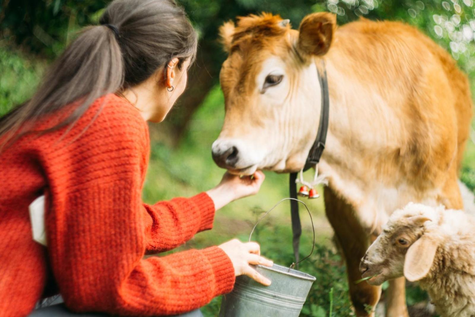 Domus Agricolae Corallina - Photo 24