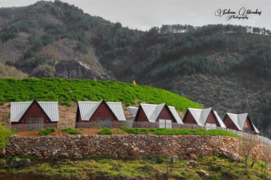 5 Stinet - Photo 170