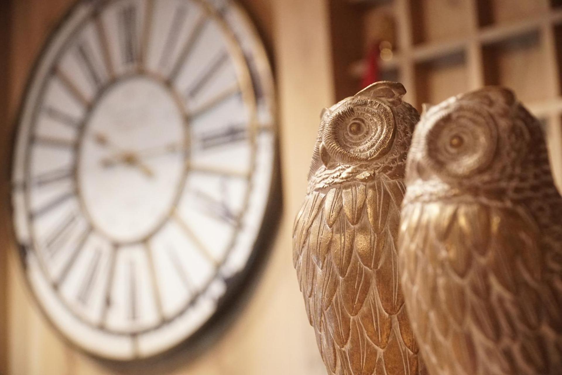 Xenonas Iresioni - Photo 24