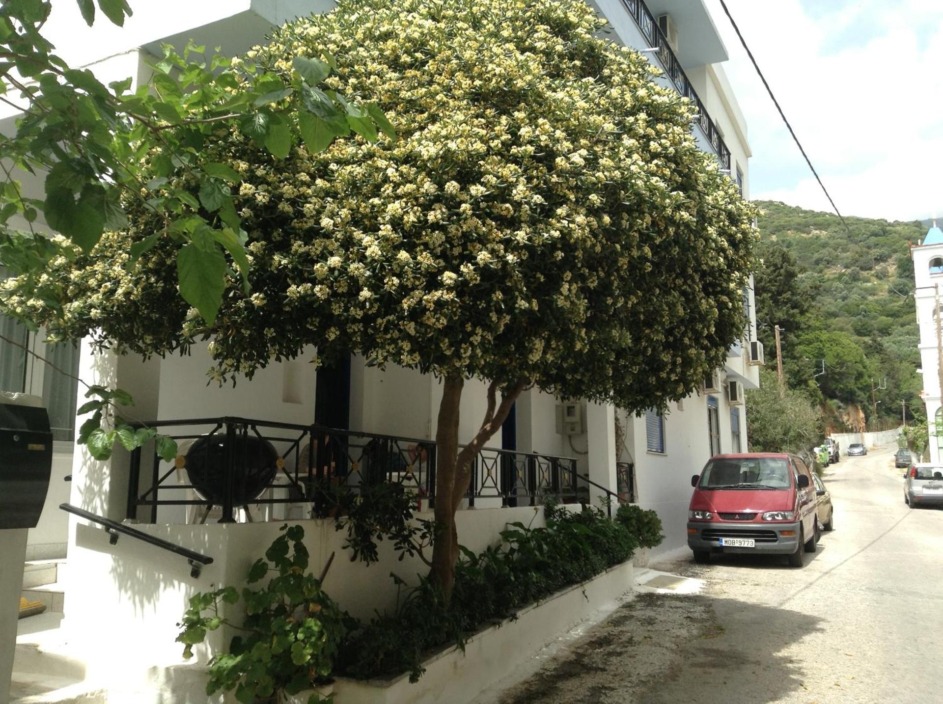 Hotel Asteria - Photo 16