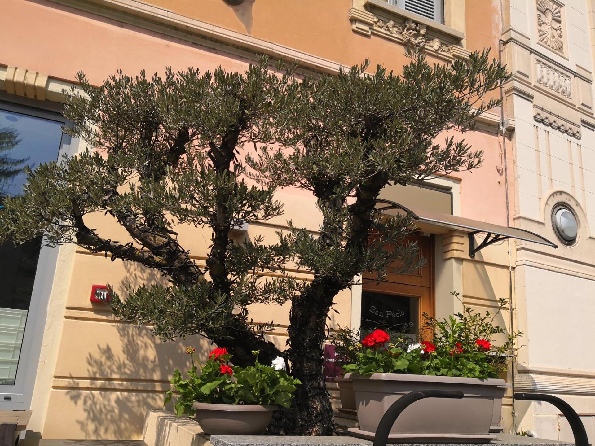 Locanda San Paolo - Photo 14