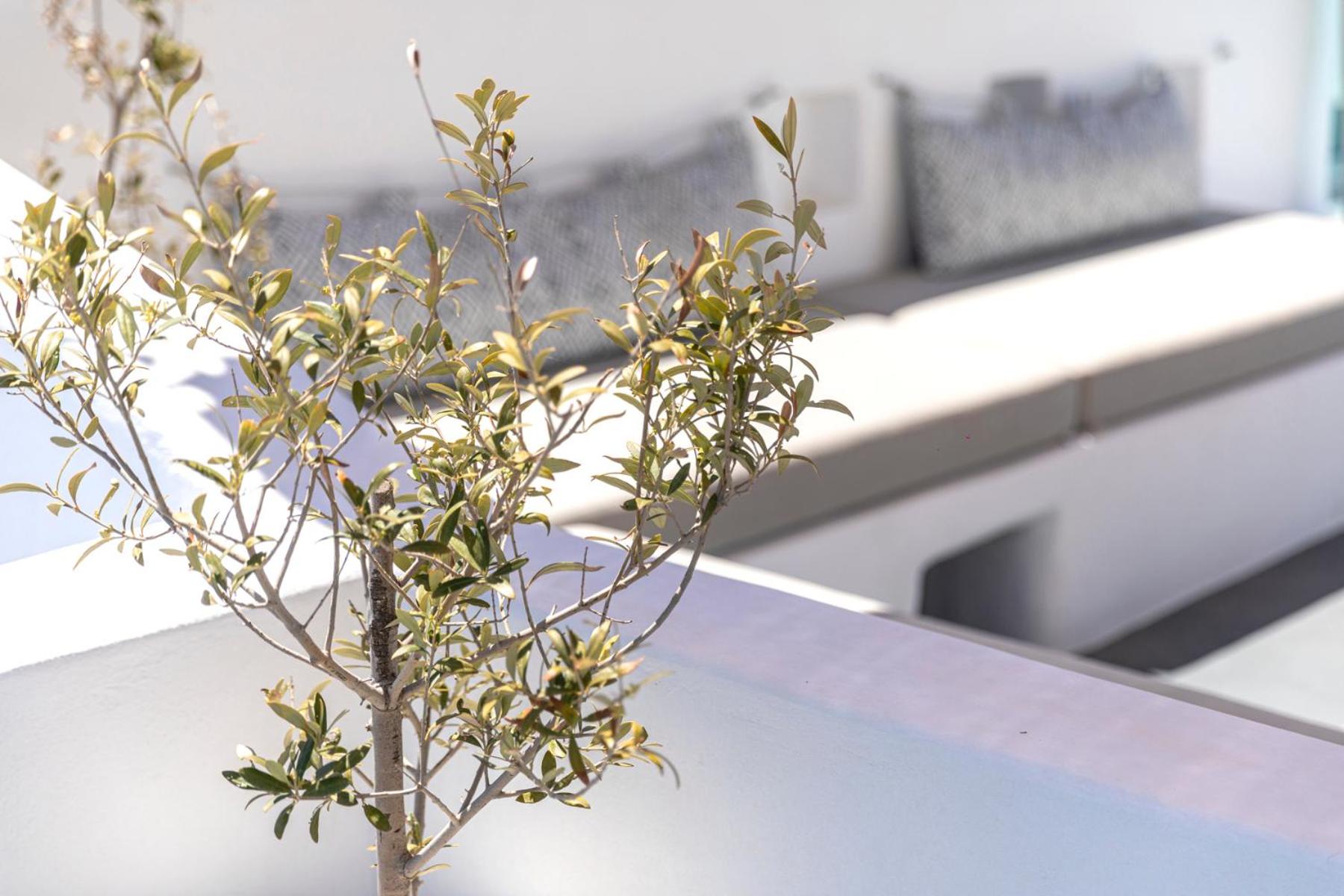 Grand View - Megalochori Santorini - Photo 75