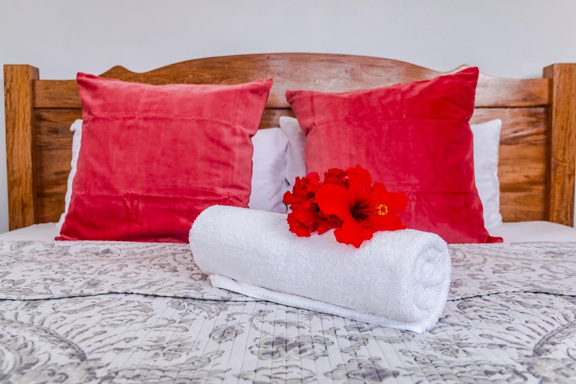 Le Manglier - Photo 9