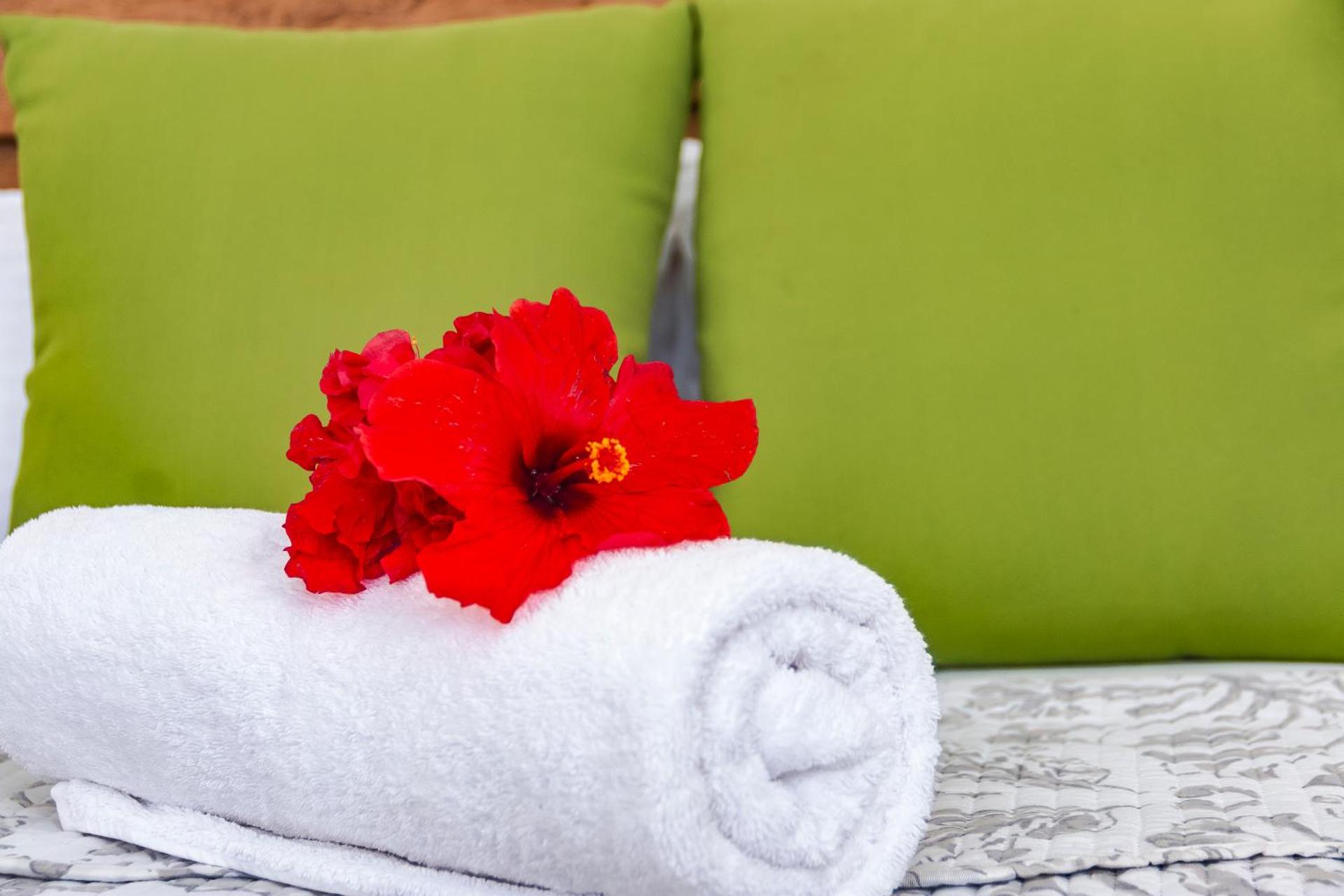 Le Manglier - Photo 23